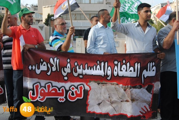 td egypt empassy 814 (33).JPG